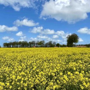 Lire la suite à propos de l’article Agriculture